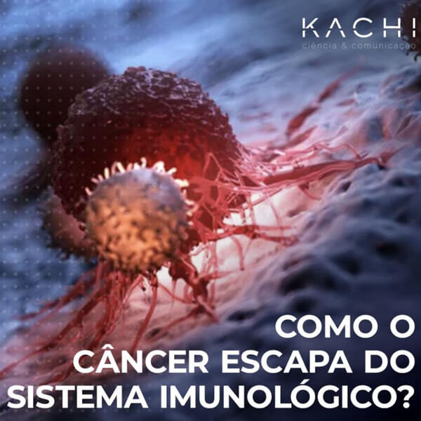 KACHI, Cores, Comunicação Científica